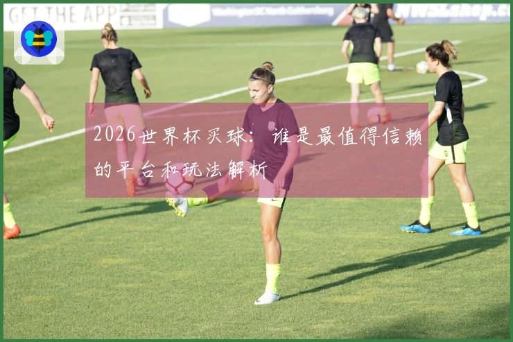 2026世界杯买球：谁是最值得信赖的平台和玩法解析