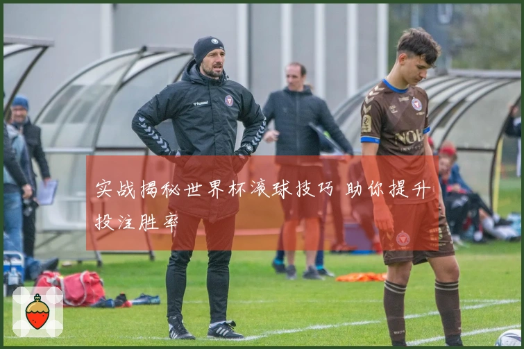 实战揭秘世界杯滚球技巧 助你提升投注胜率